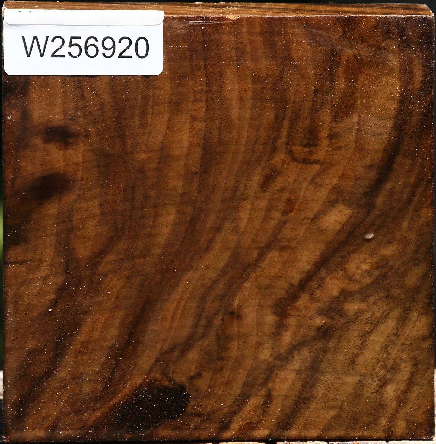 Claro Walnut Bowl Blank