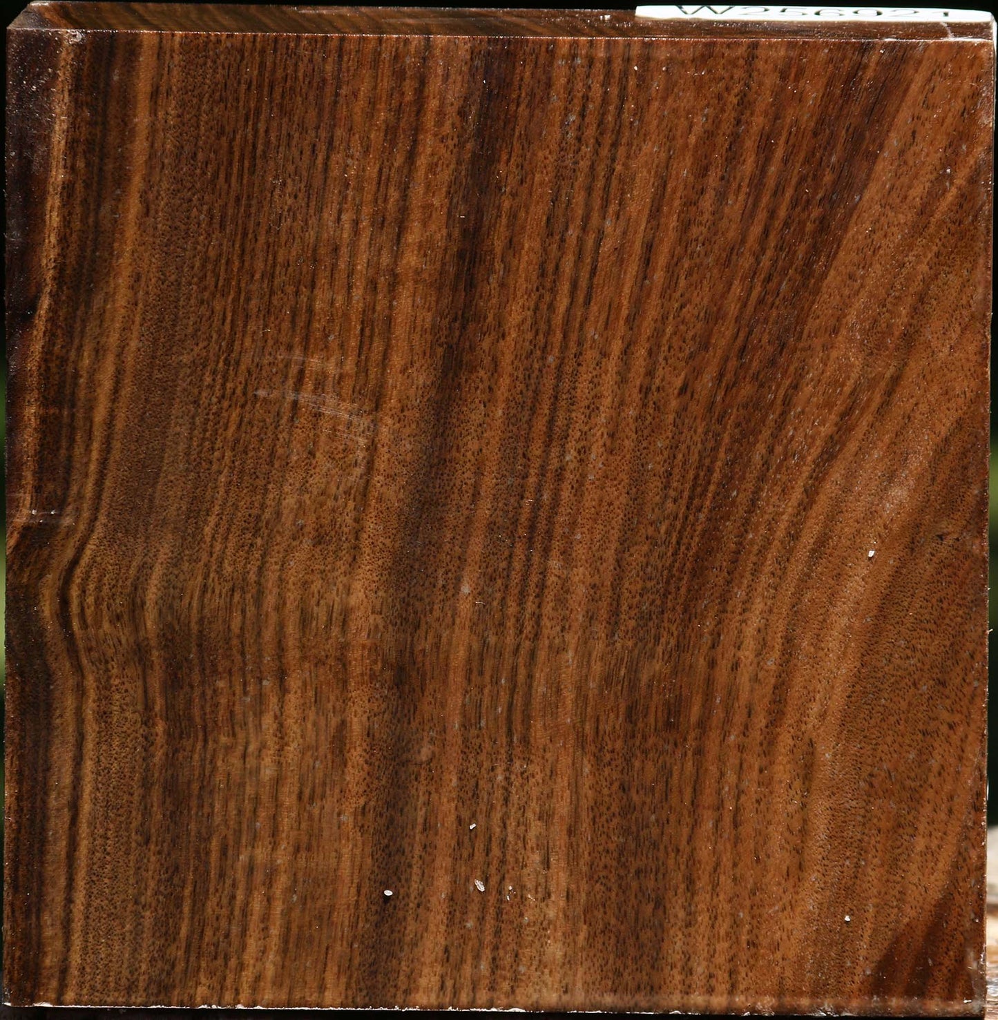 Claro Walnut Bowl Blank