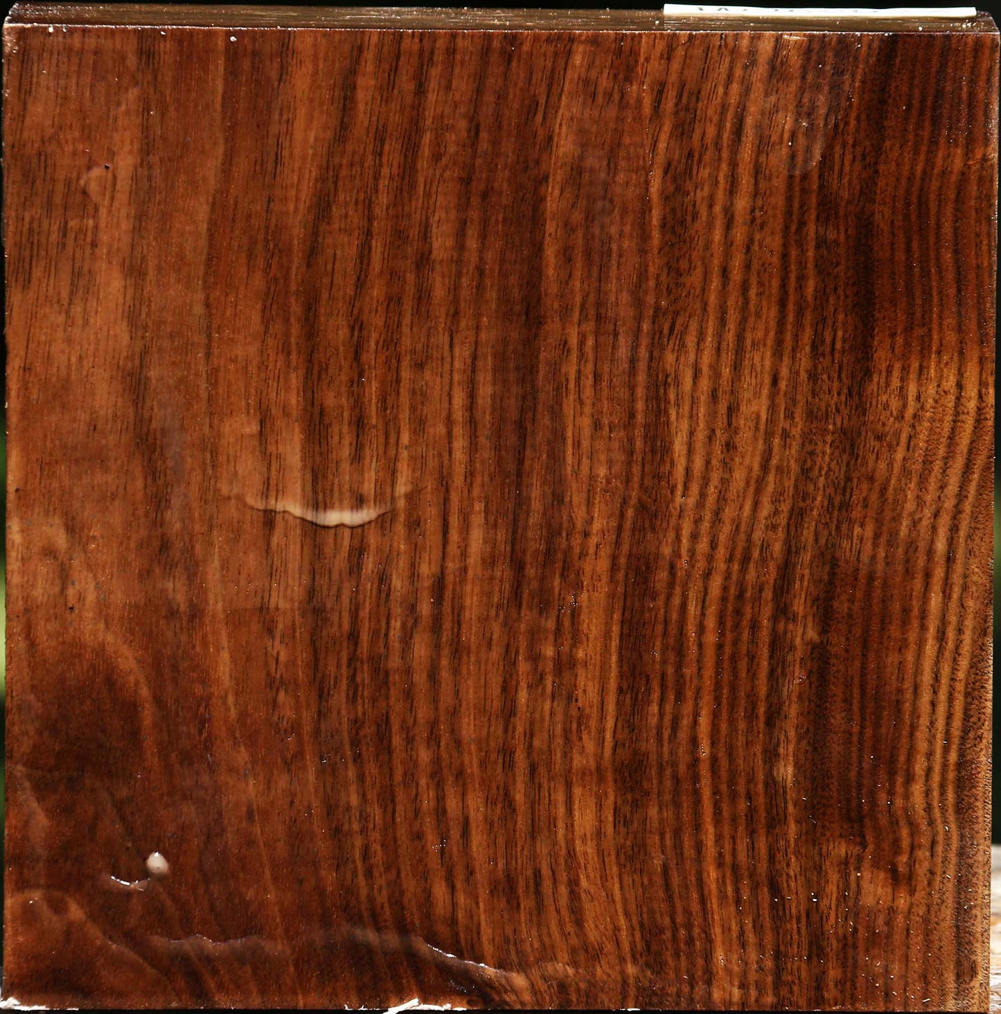 Claro Walnut Bowl Blank