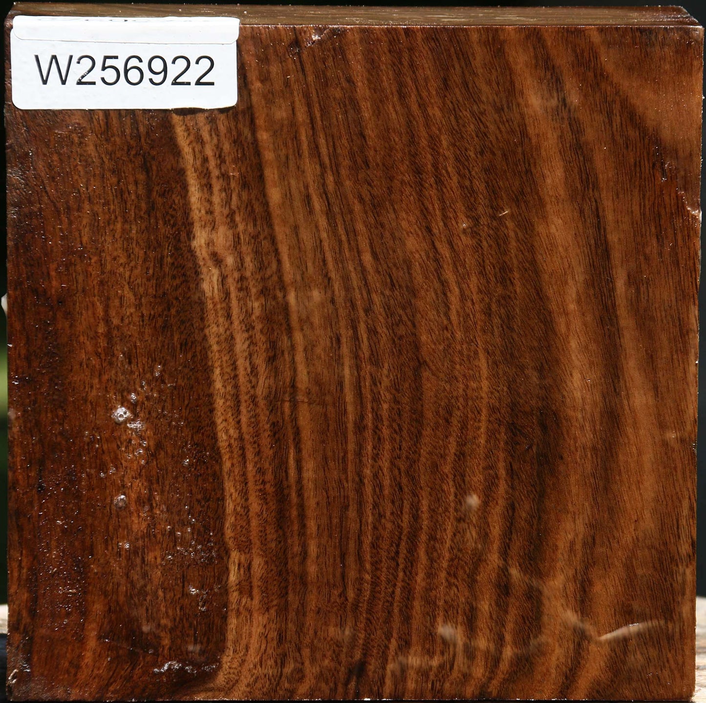 Claro Walnut Bowl Blank