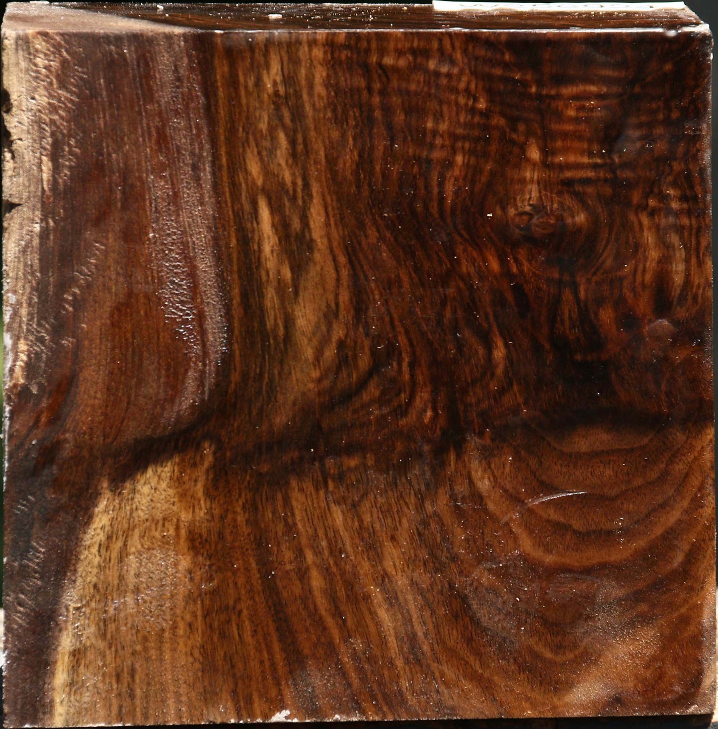 Grafted Claro/English Walnut Bowl Blank