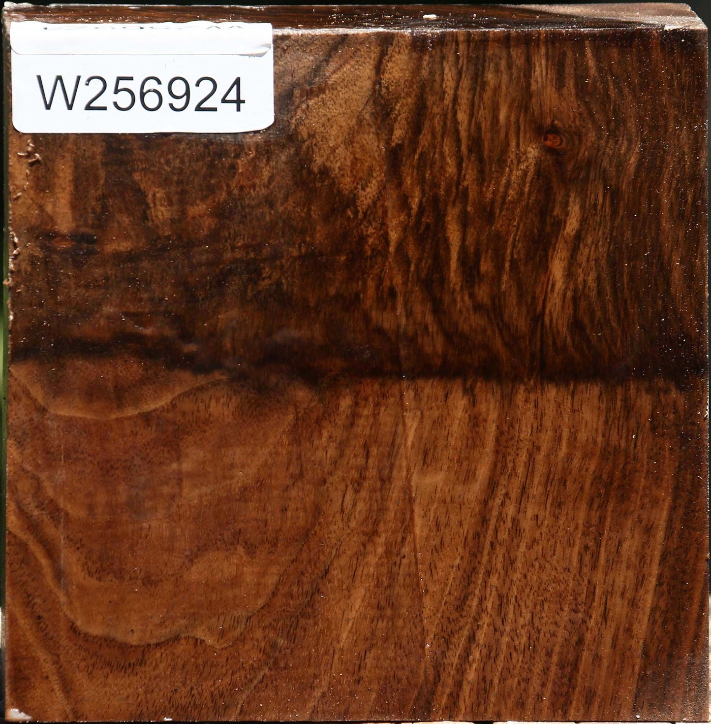 Grafted Claro/English Walnut Bowl Blank
