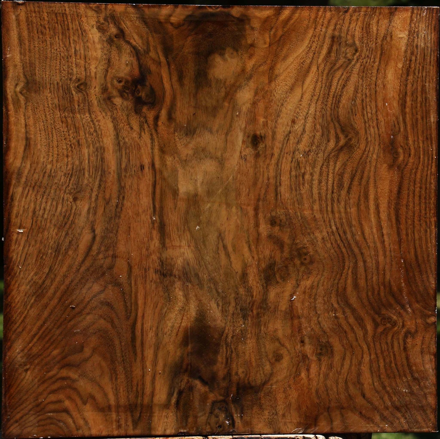 Extra Fancy Claro Walnut Bowl Blank