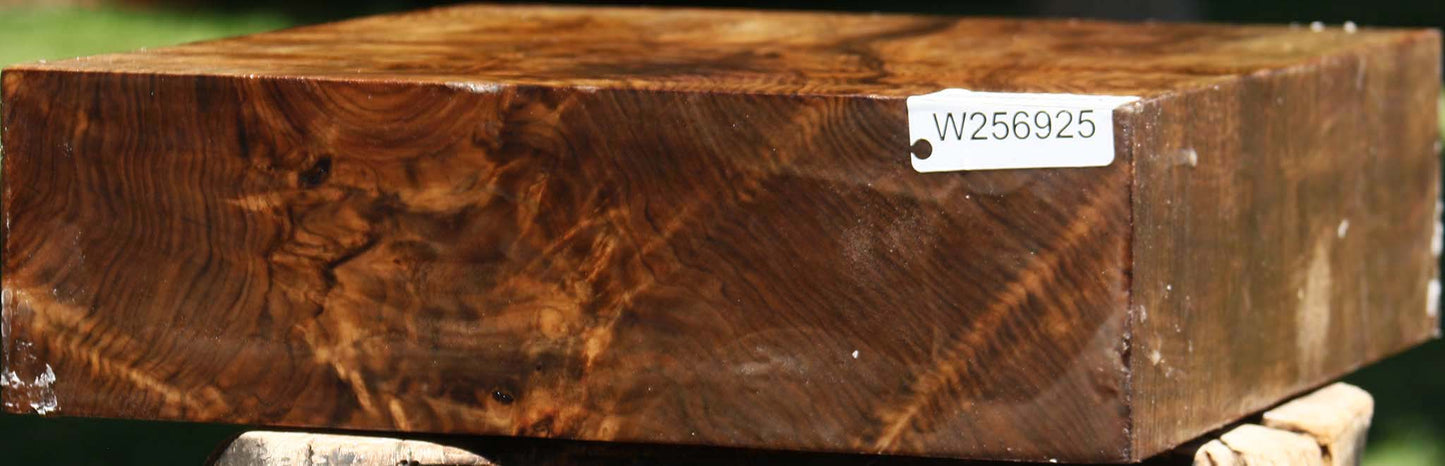 Extra Fancy Claro Walnut Bowl Blank