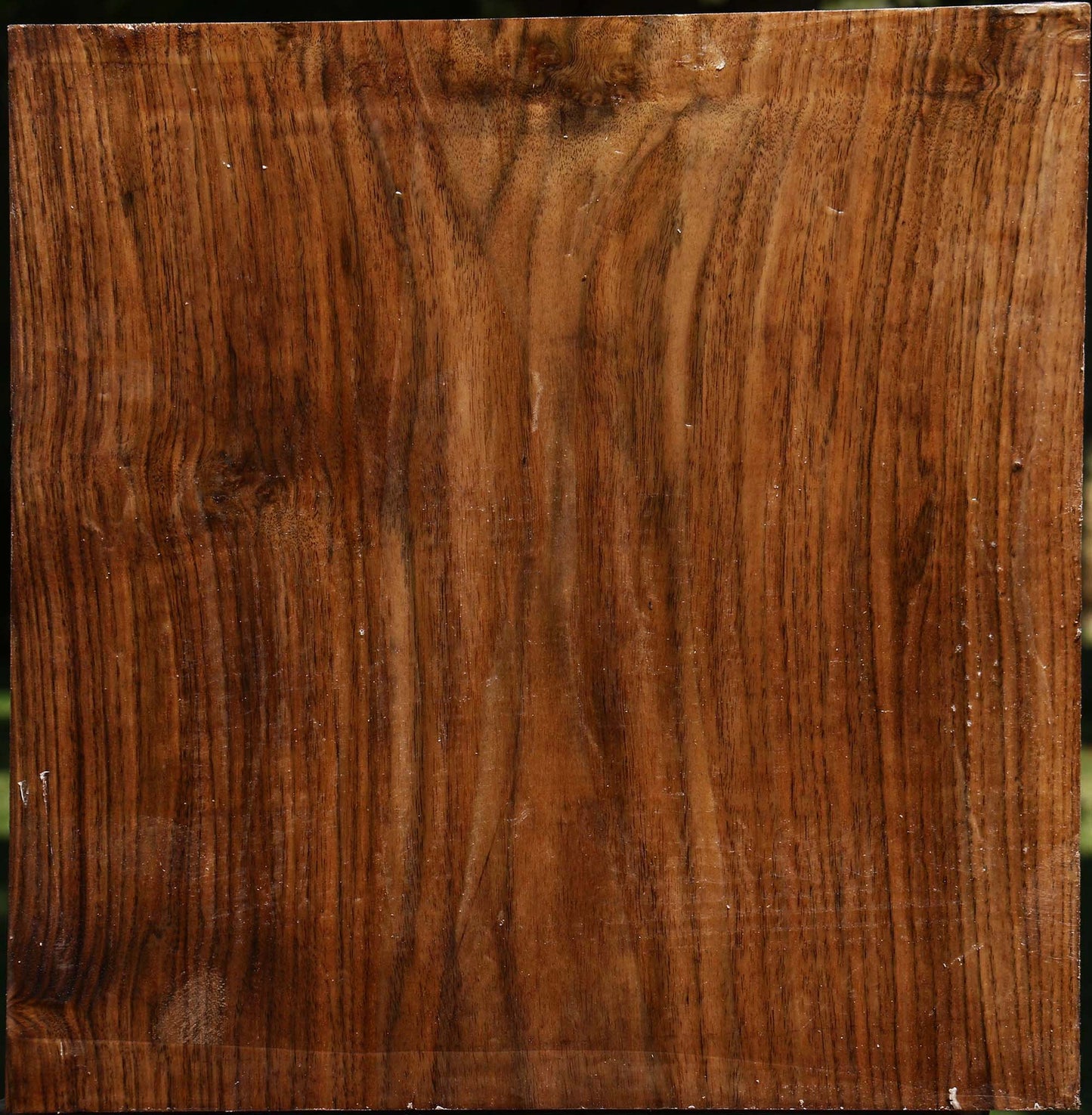 Claro Walnut Bowl Blank