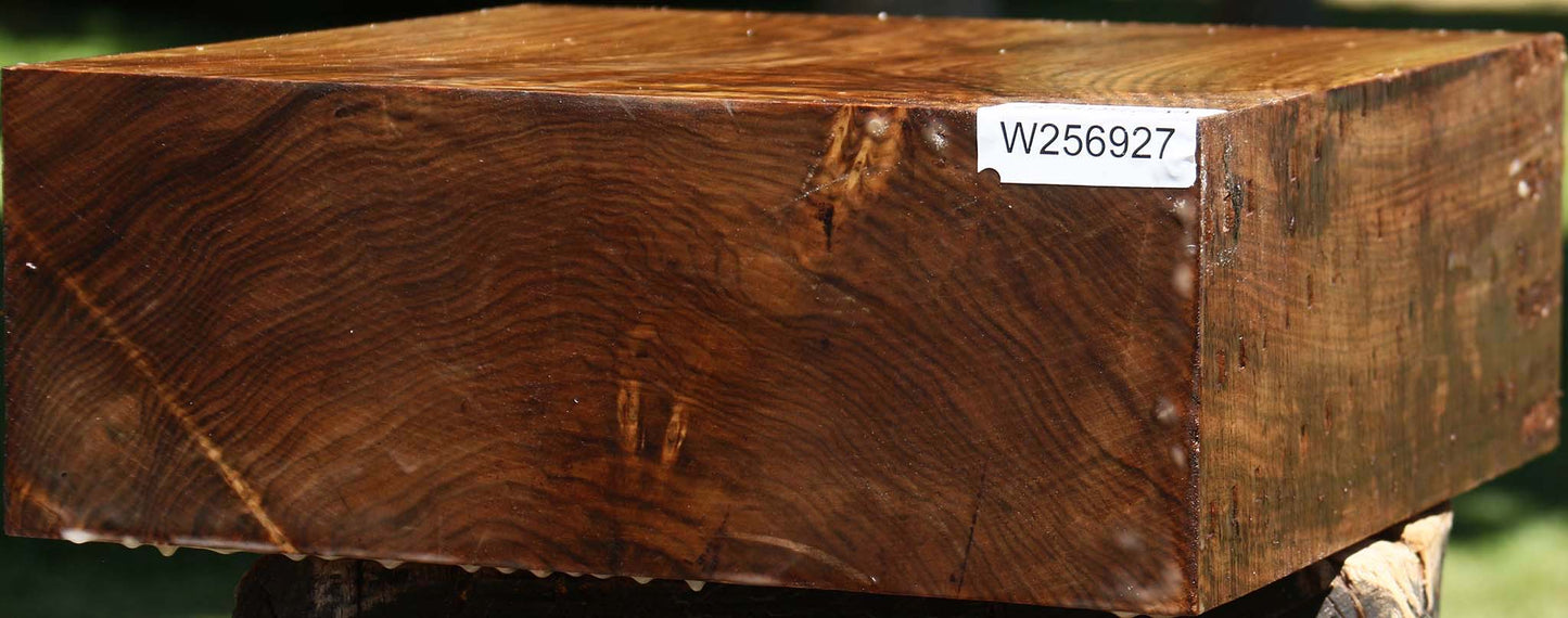 Claro Walnut Bowl Blank