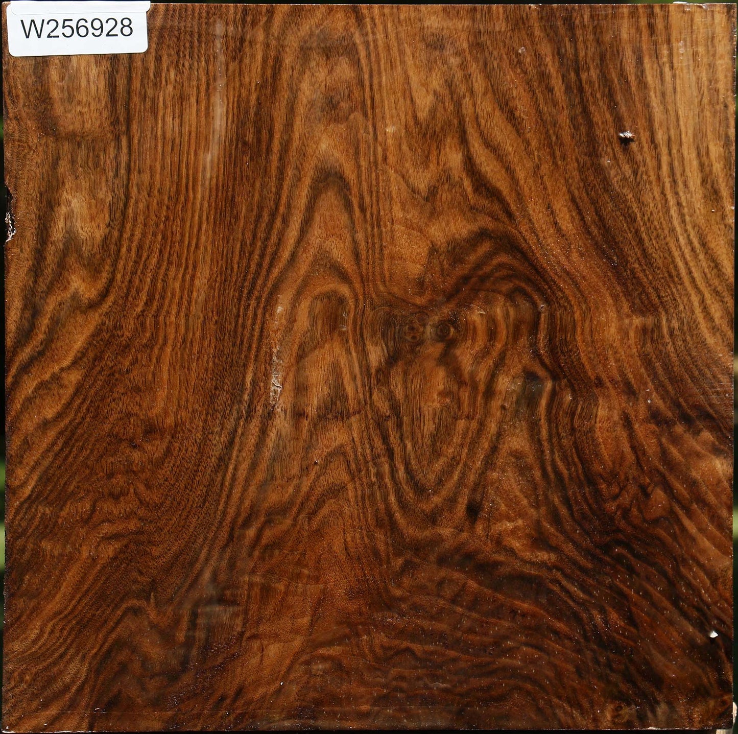Figured Claro Walnut Bowl Blank