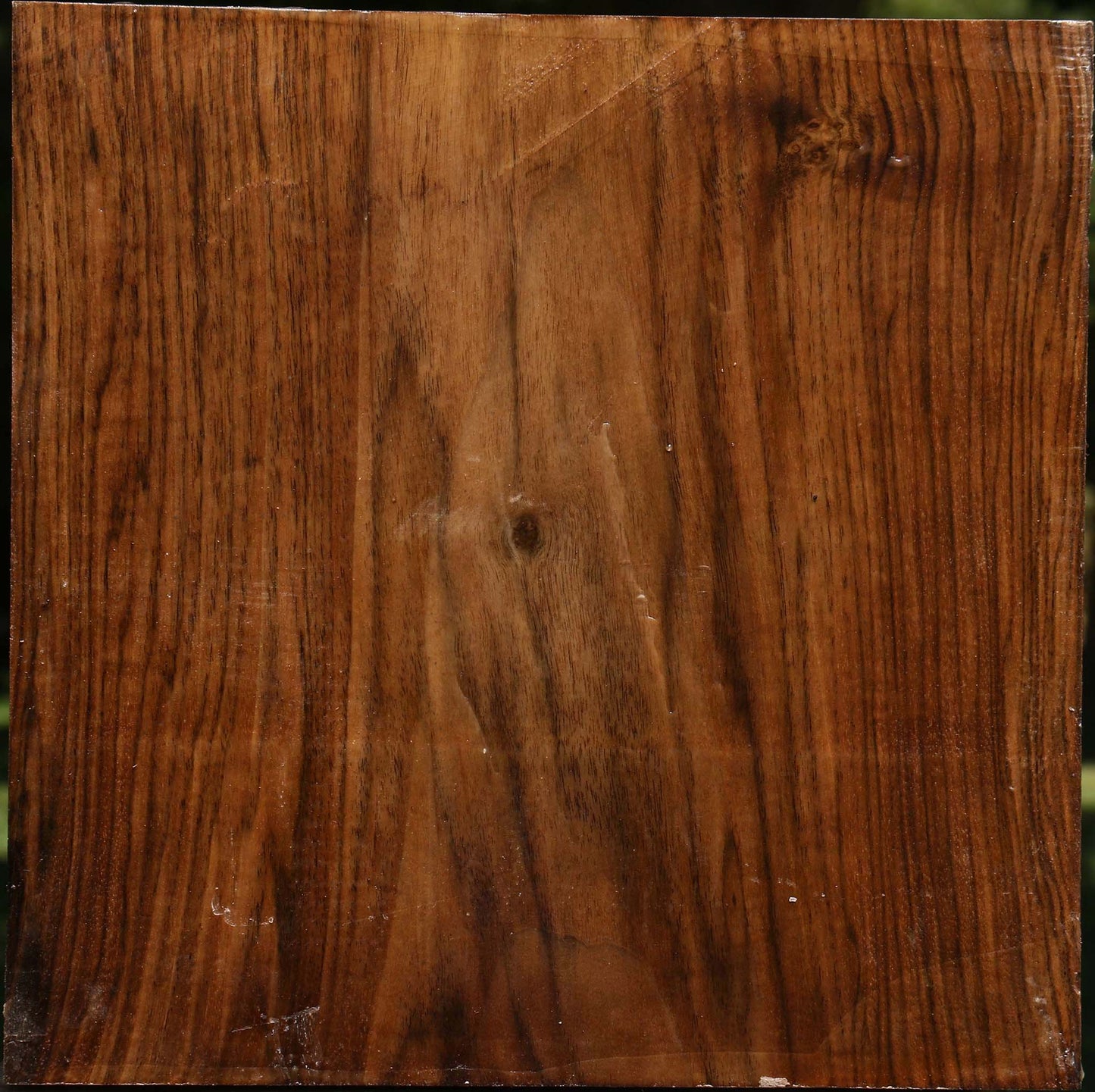 Figured Claro Walnut Bowl Blank
