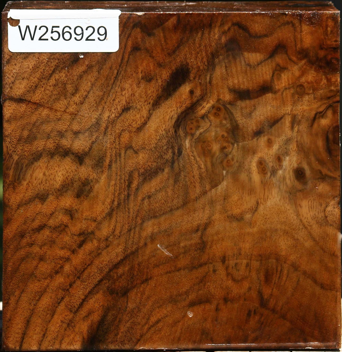 Figured Claro Walnut Bowl Blank