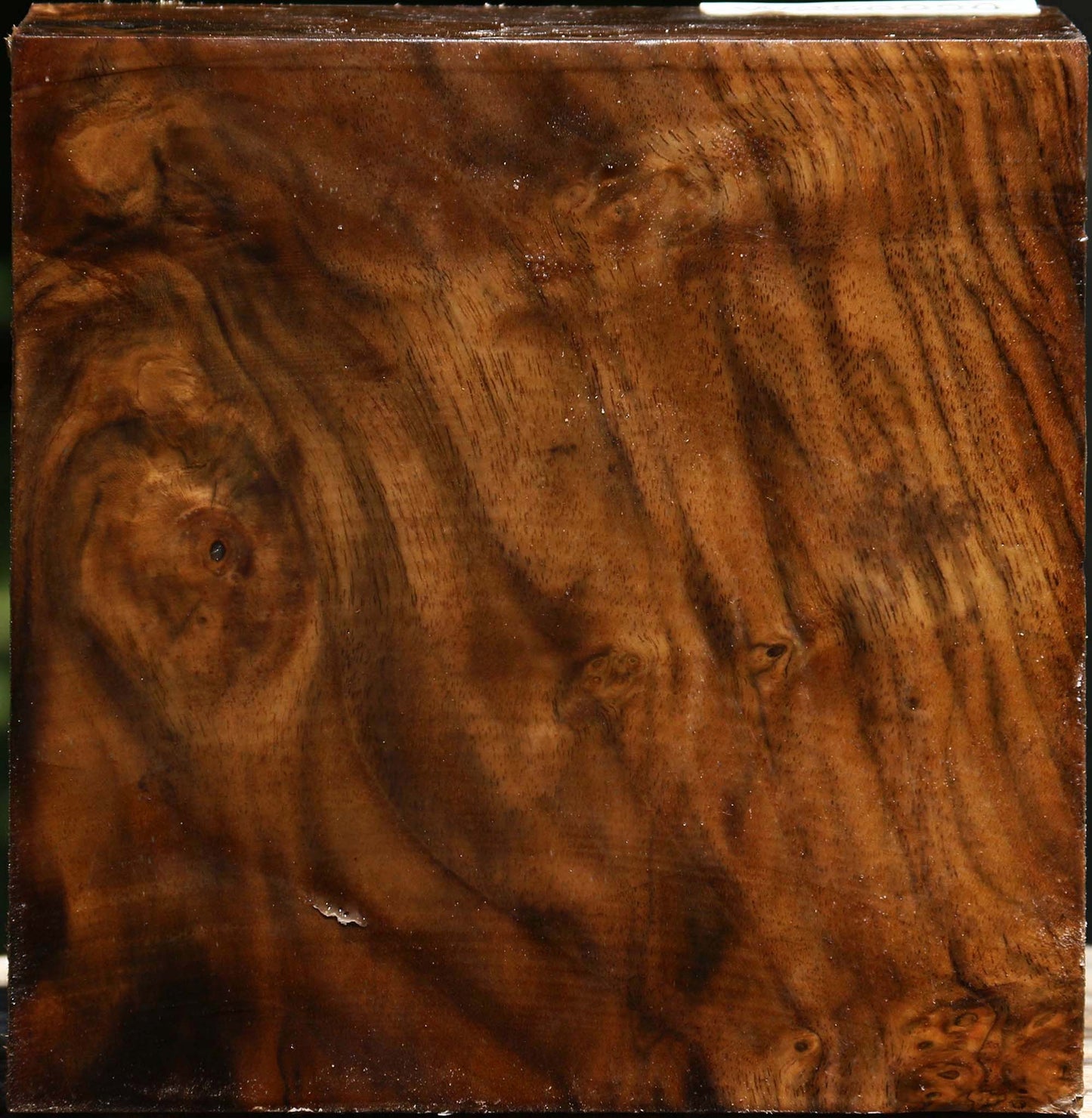 Figured Claro Walnut Bowl Blank