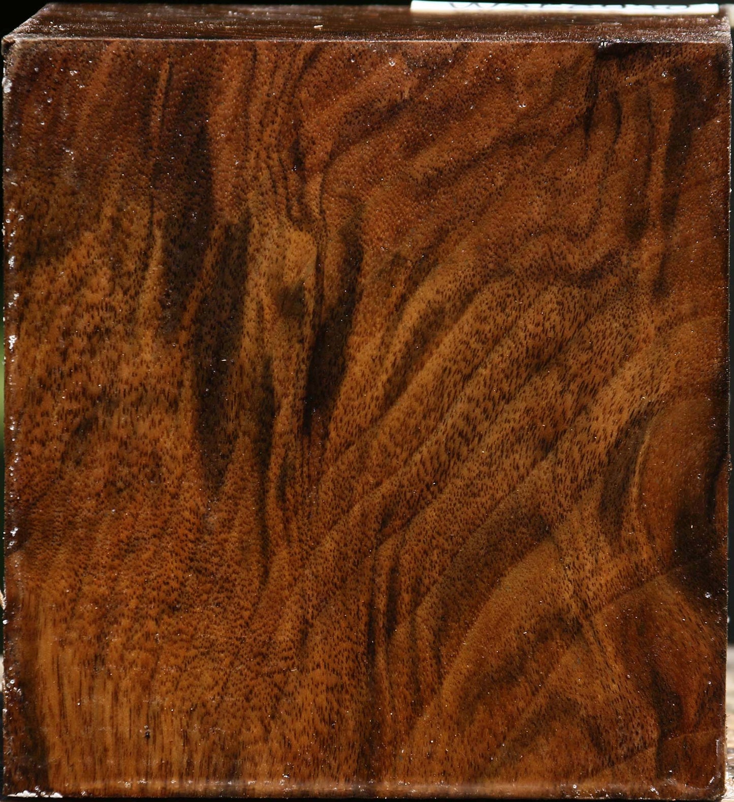 Figured Claro Walnut Bowl Blank