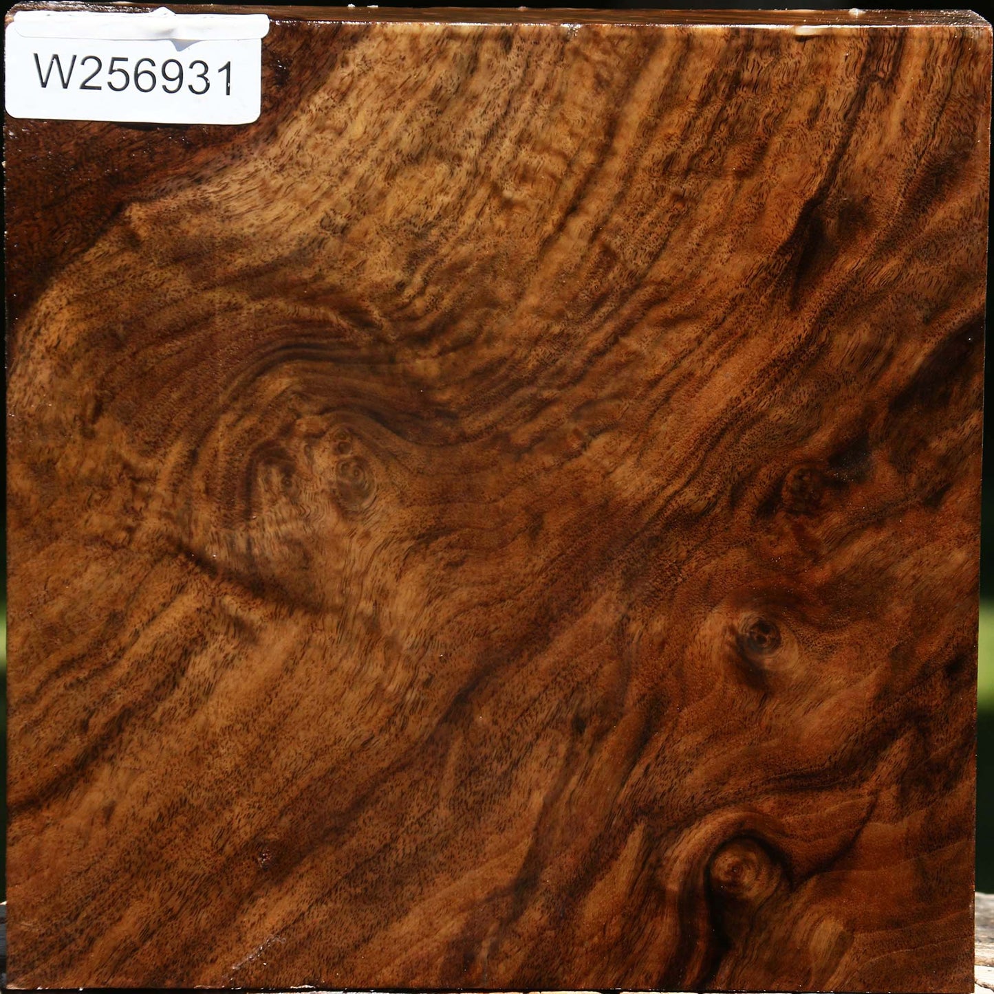 Extra Fancy Claro Walnut Bowl Blank