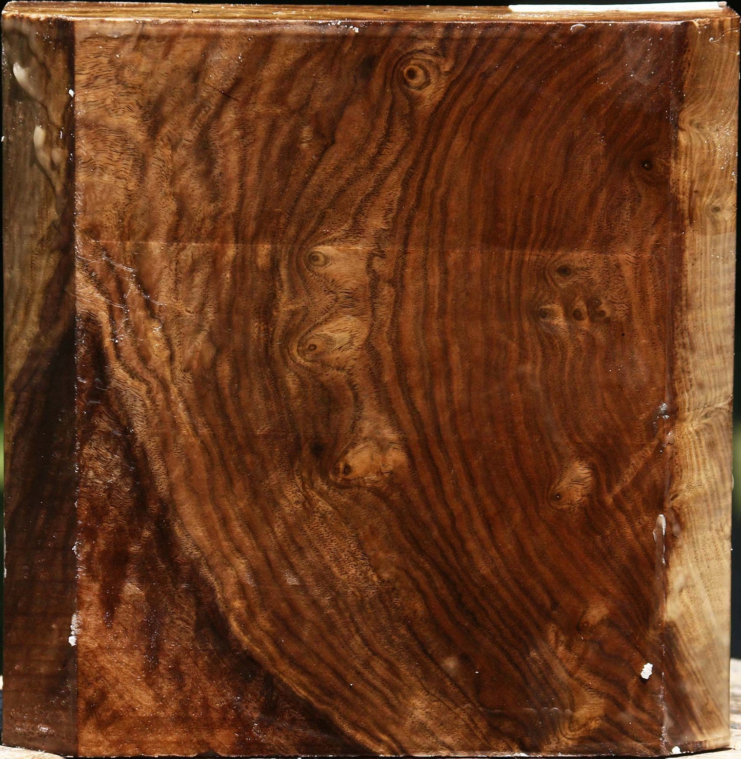 Figured Claro Walnut Bowl Blank