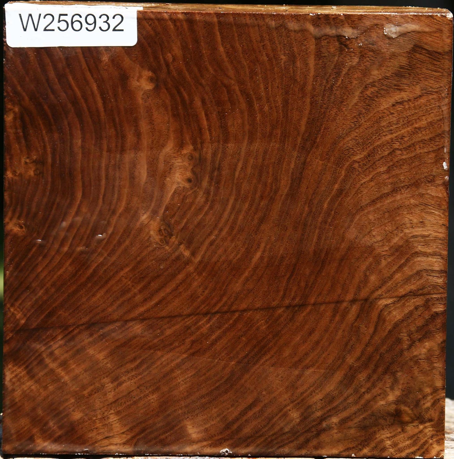 Figured Claro Walnut Bowl Blank