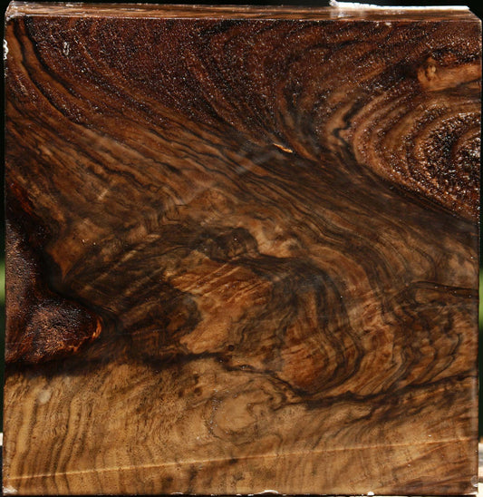 Exhibition Grafted Claro/English Walnut Bowl Blank