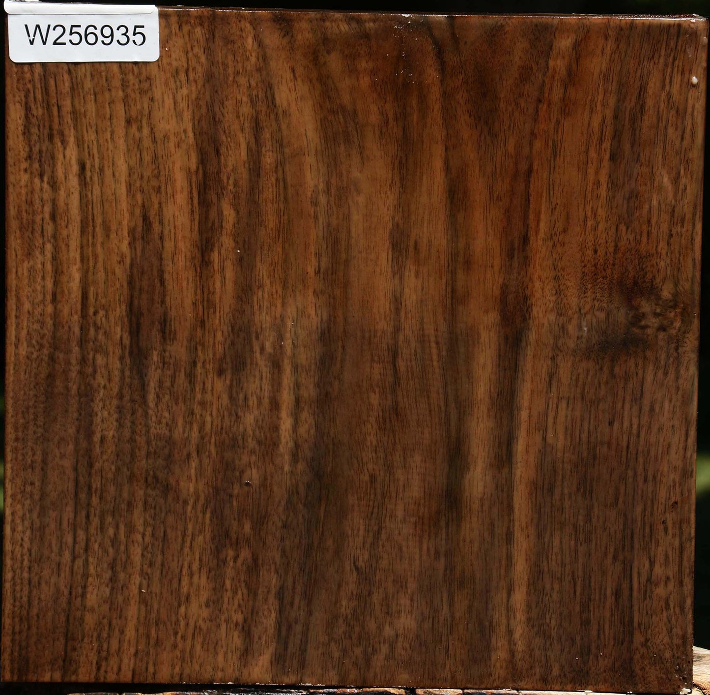 Claro Walnut Platter Blank