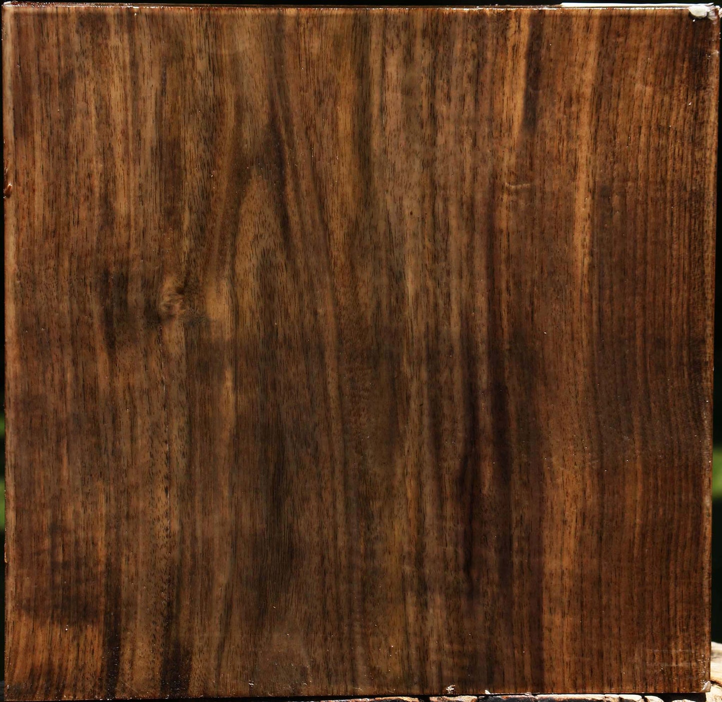Claro Walnut Platter Blank