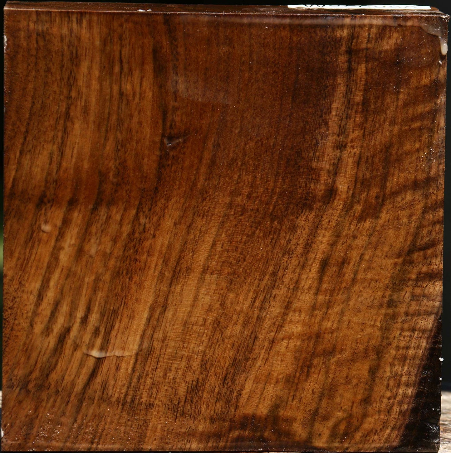 Figured Claro Walnut Bowl Blank