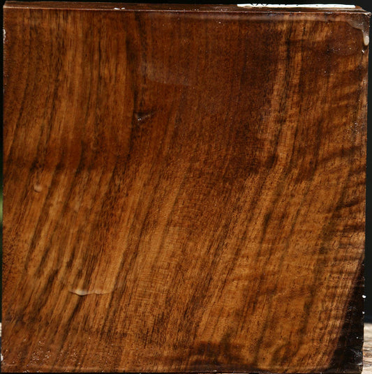 Figured Claro Walnut Bowl Blank