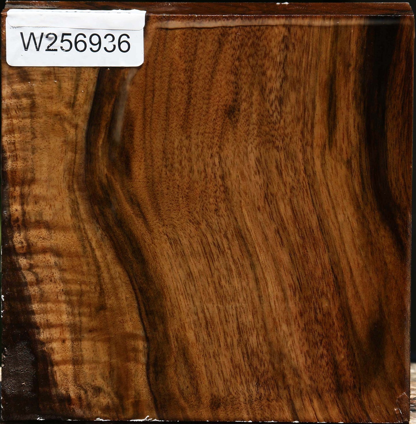 Figured Claro Walnut Bowl Blank