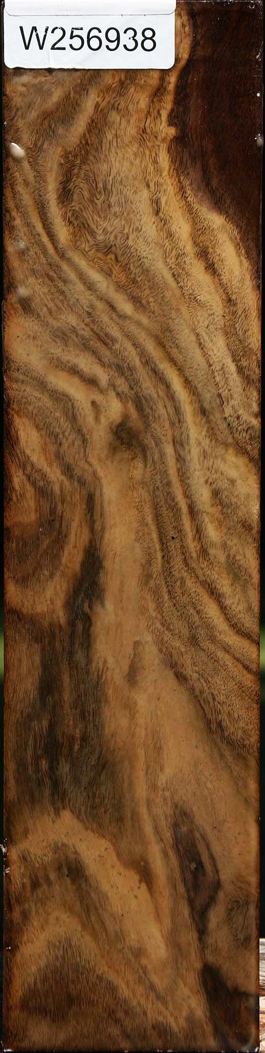 Claro Walnut Vessel Blank