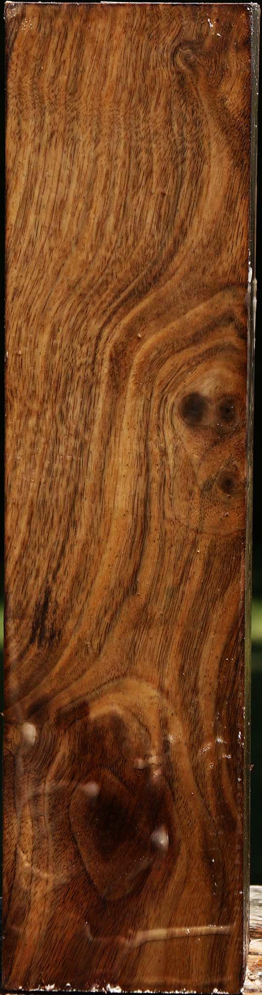 Claro Walnut Vessel Blank