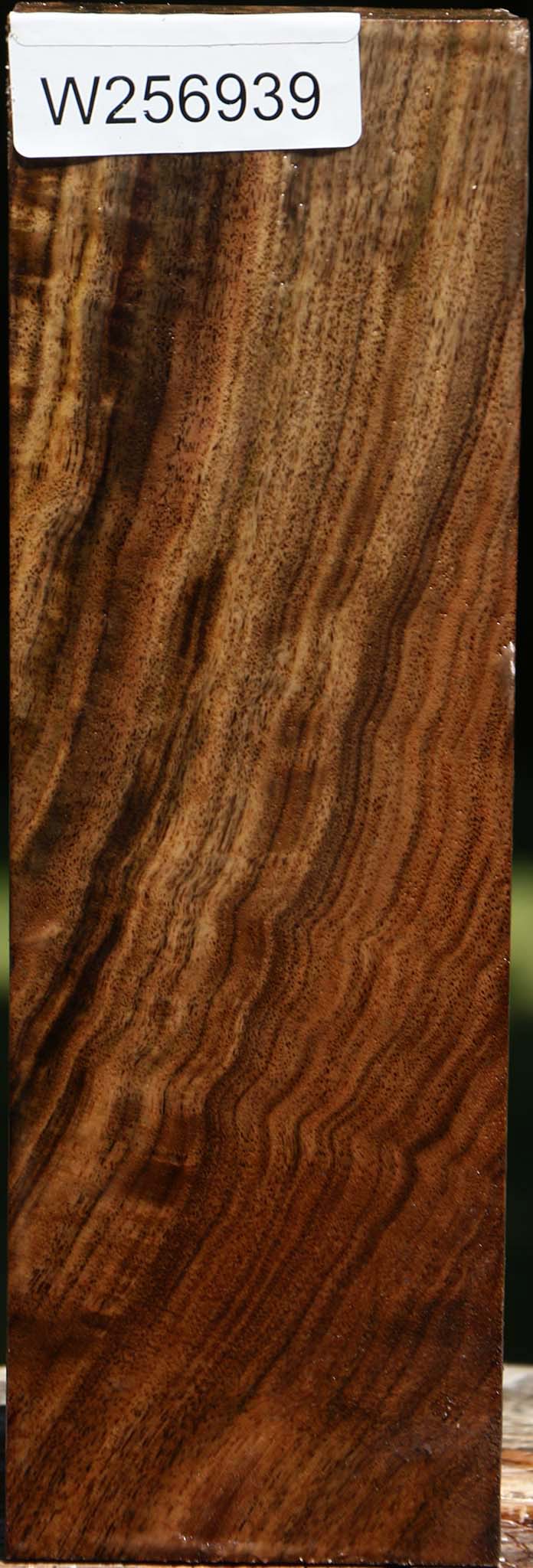 Figured Claro Walnut Vessel Blank