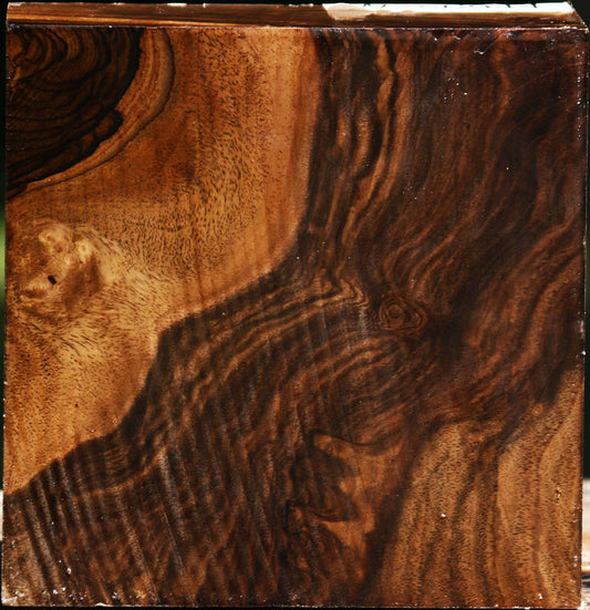 Extra Fancy Claro Walnut Bowl Blank
