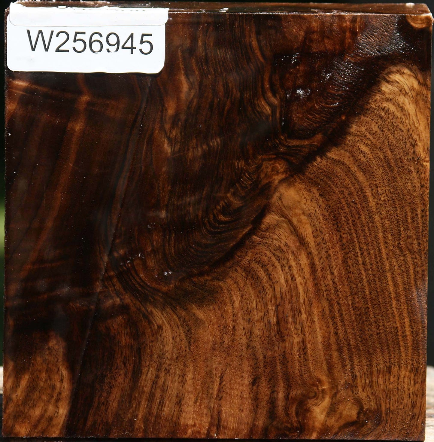 Figured Claro Walnut Bowl Blank