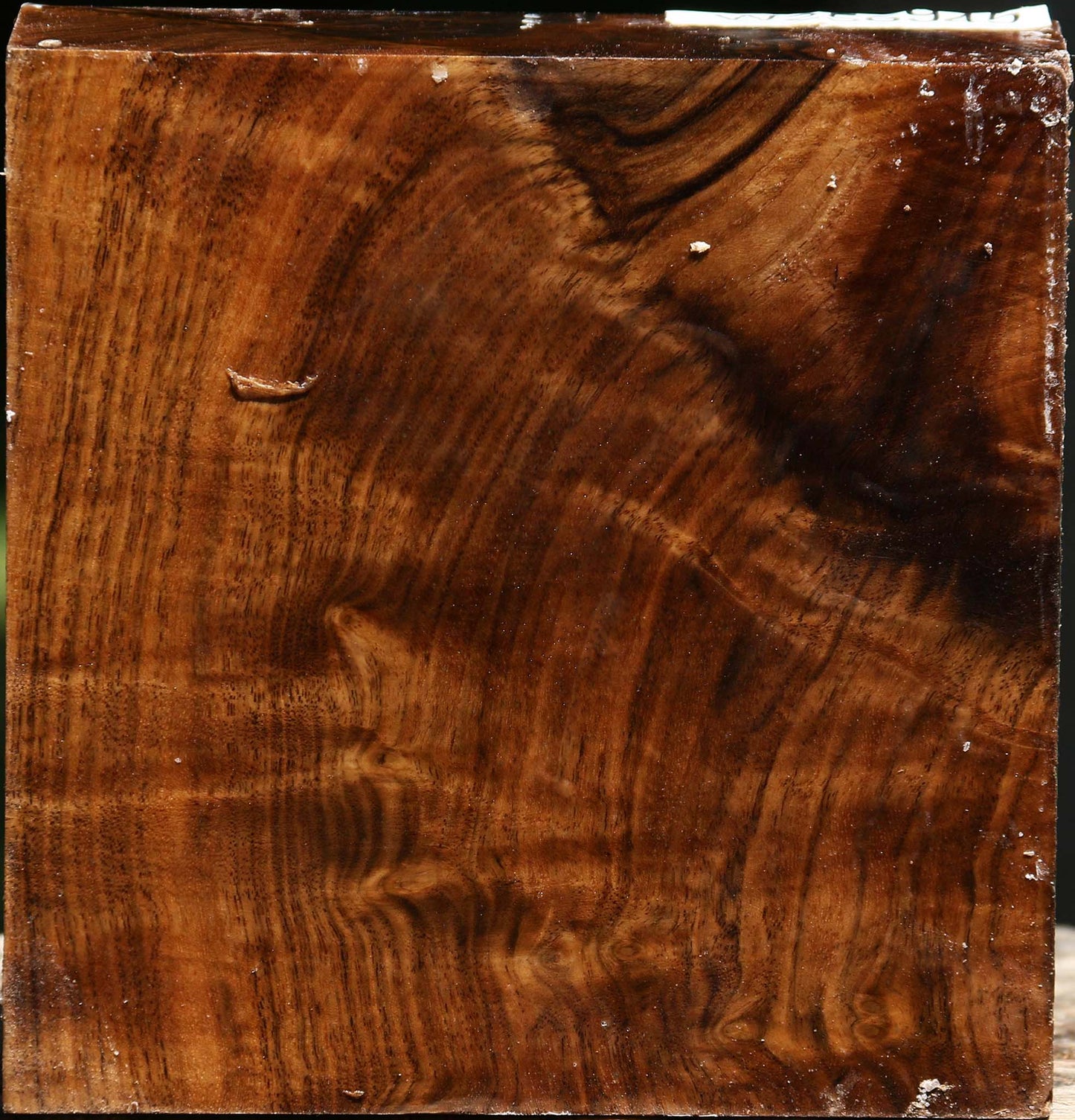 Figured Claro Walnut Bowl Blank