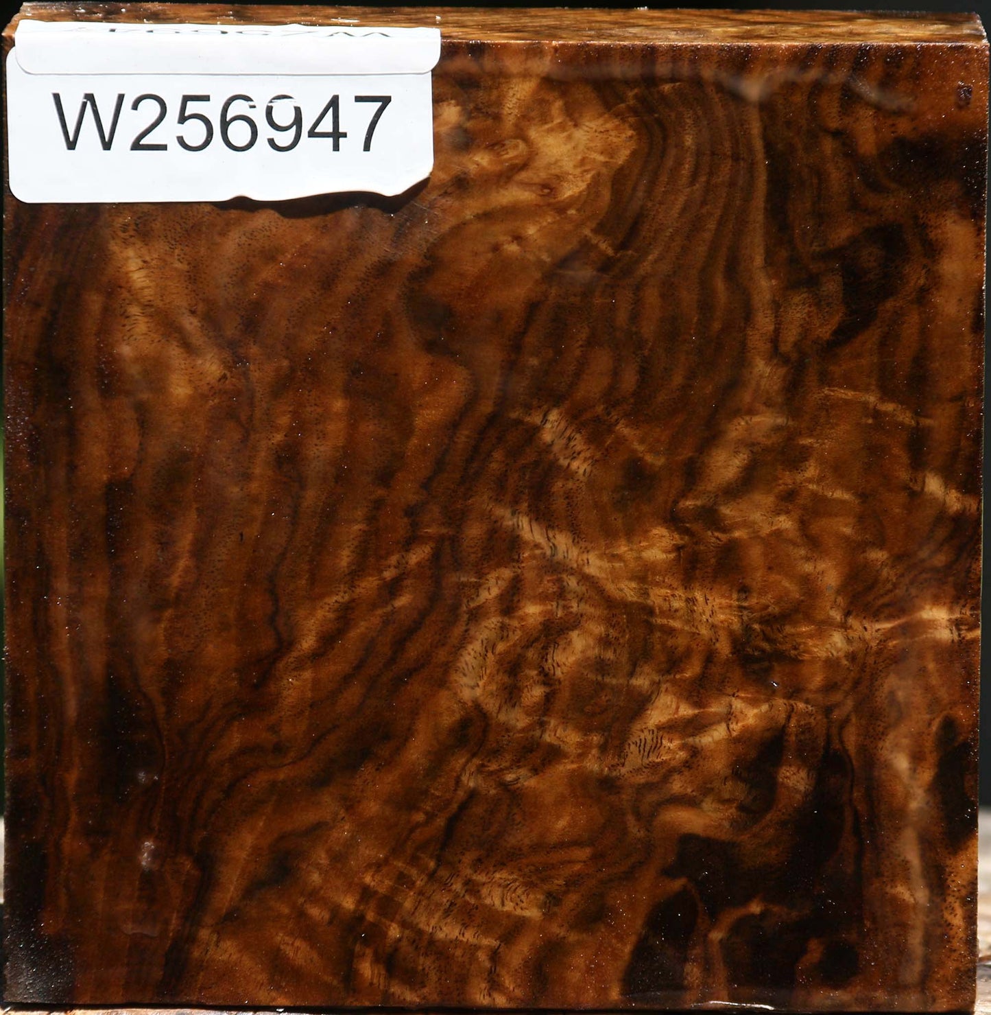 Extra Fancy Claro Walnut Bowl Blank