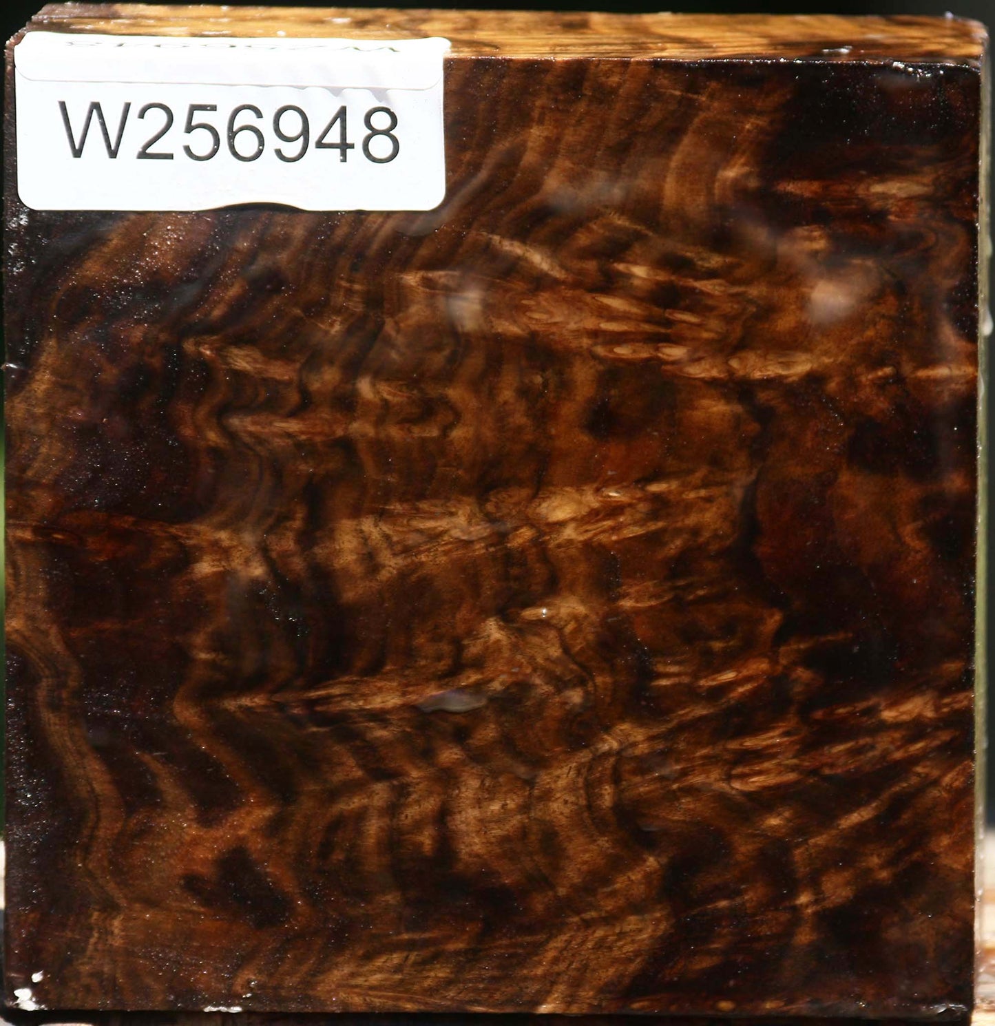 Extra Fancy Claro Walnut Bowl Blank