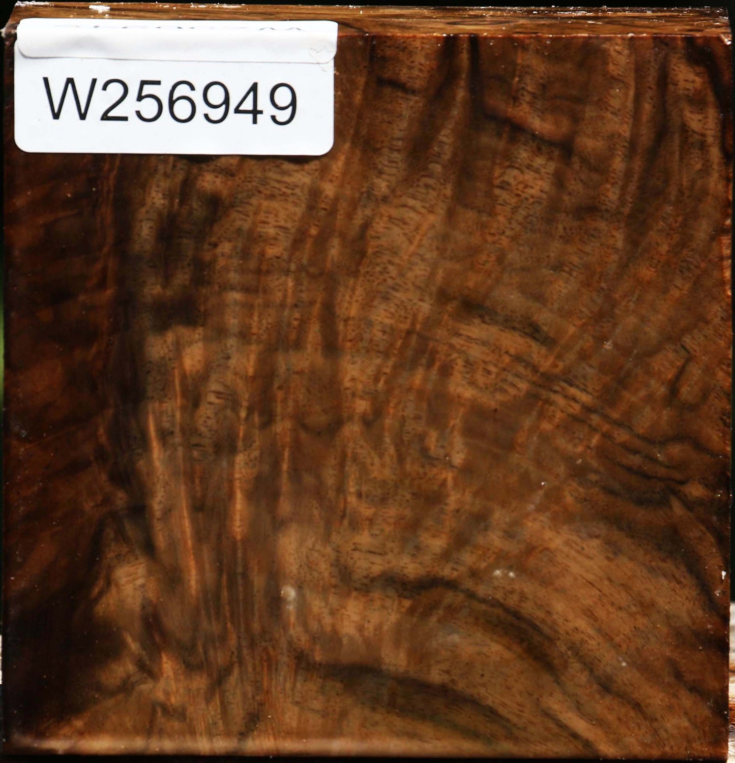 Extra Fancy Claro Walnut Bowl Blank