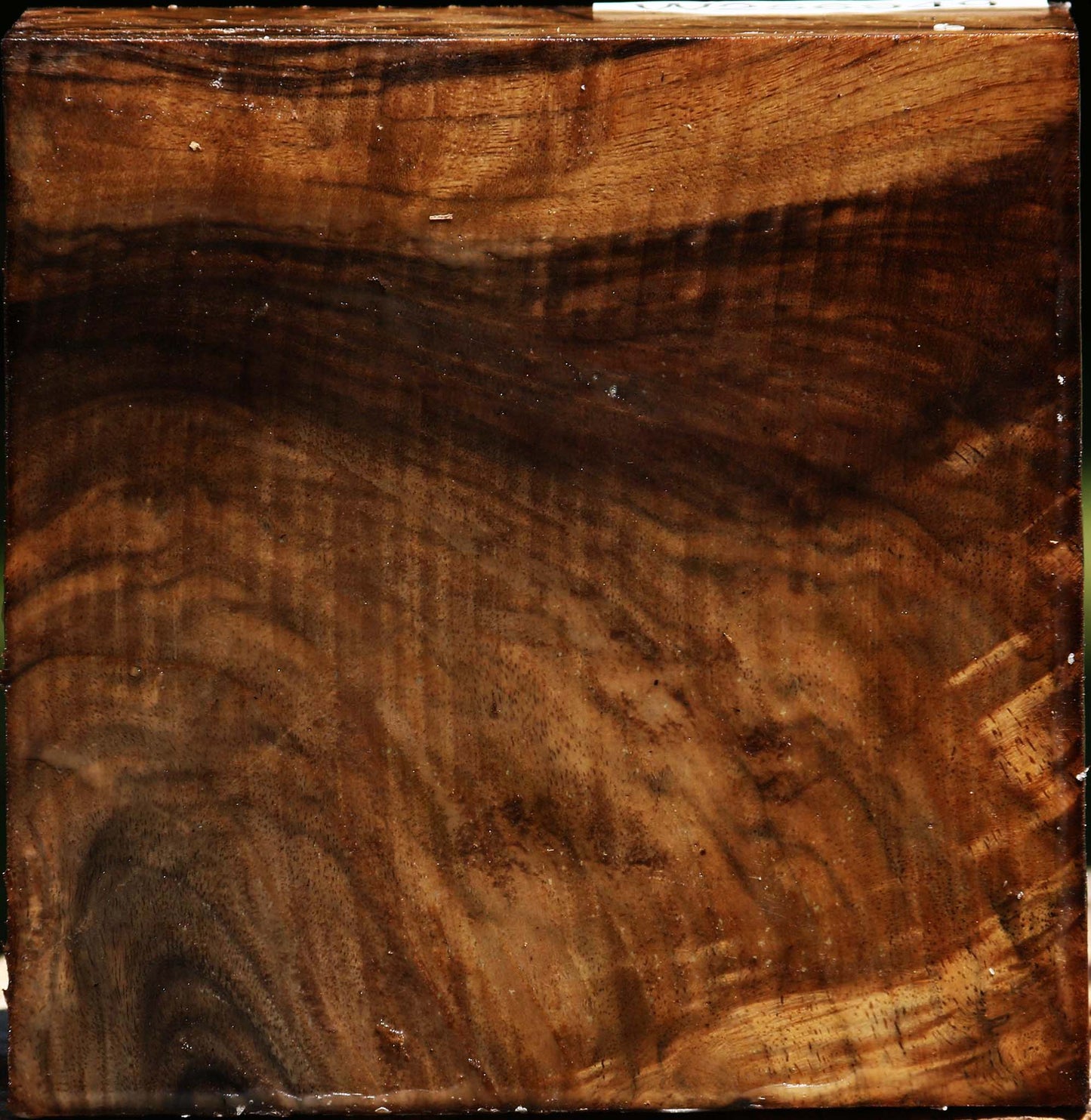 Extra Fancy Claro Walnut Bowl Blank