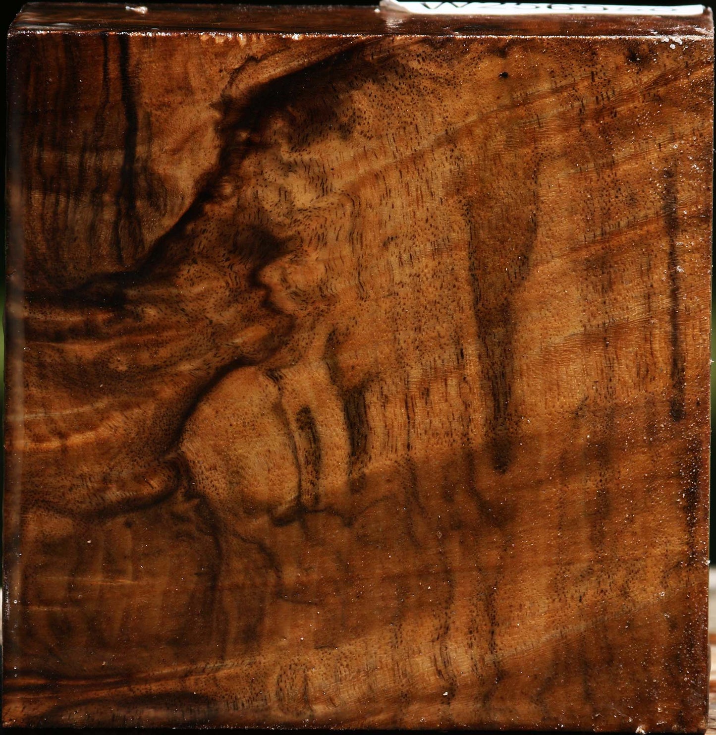 Extra Fancy Claro Walnut Bowl Blank