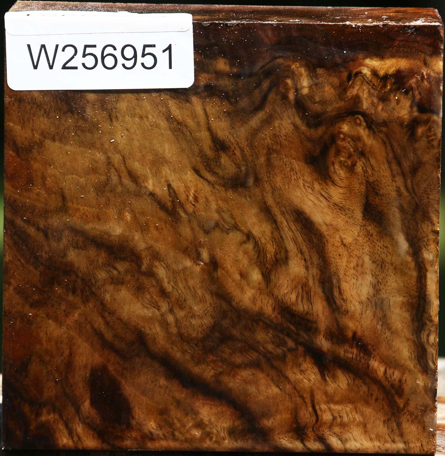 Figured Claro Walnut Bowl Blank