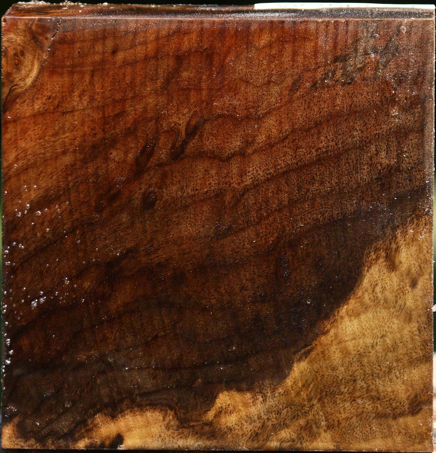 Figured Claro Walnut Bowl Blank
