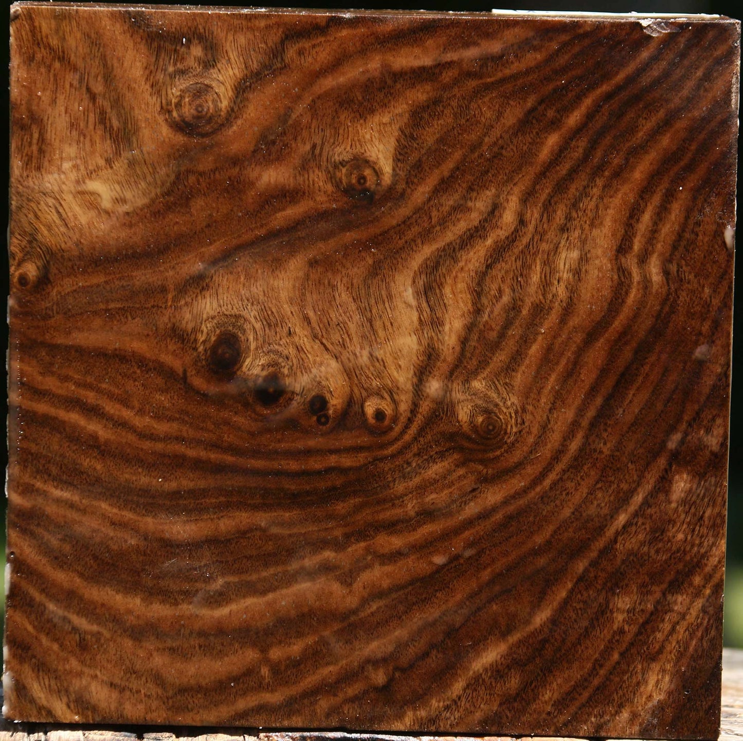 Figured Claro Walnut Bowl Blank