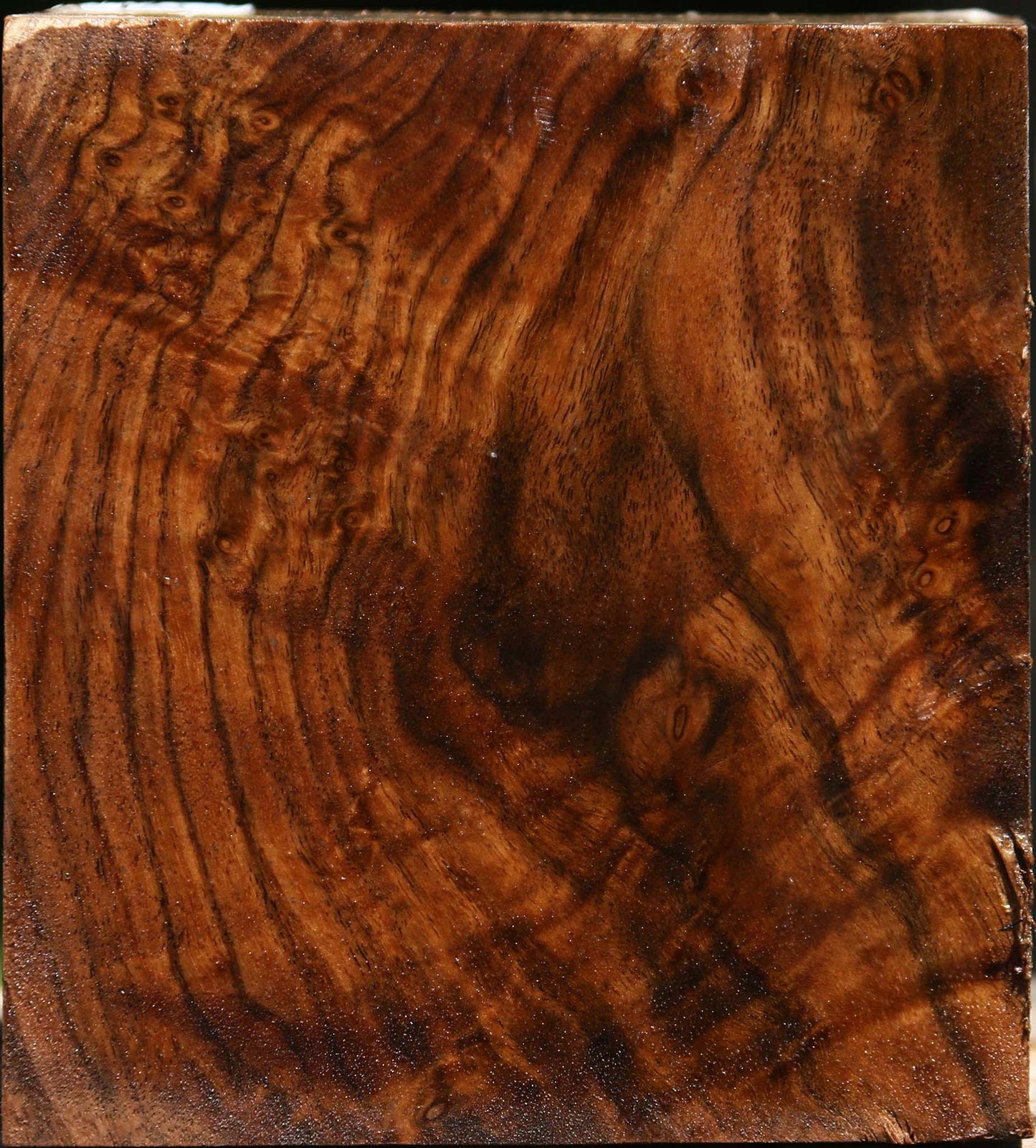 Figured Claro Walnut Bowl Blank
