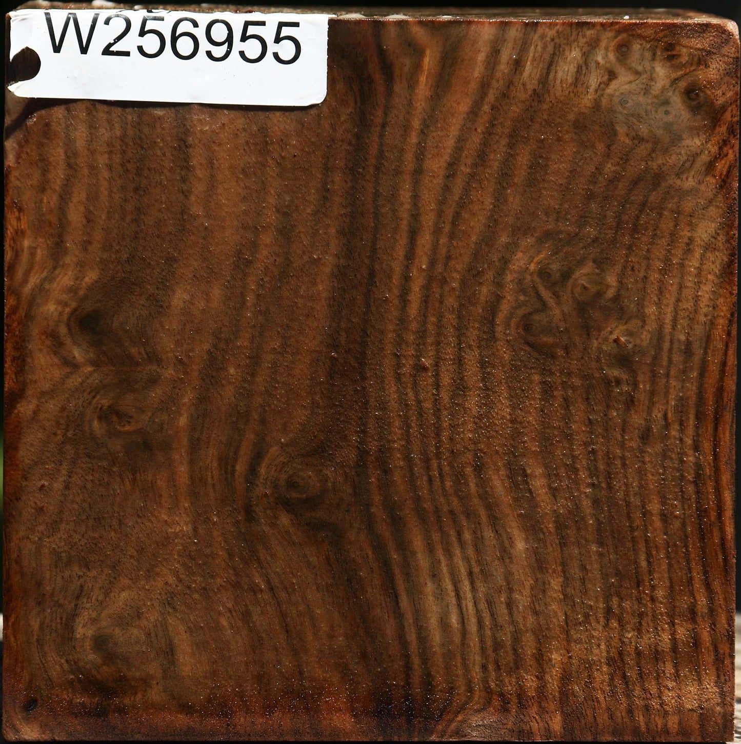 Figured Claro Walnut Bowl Blank