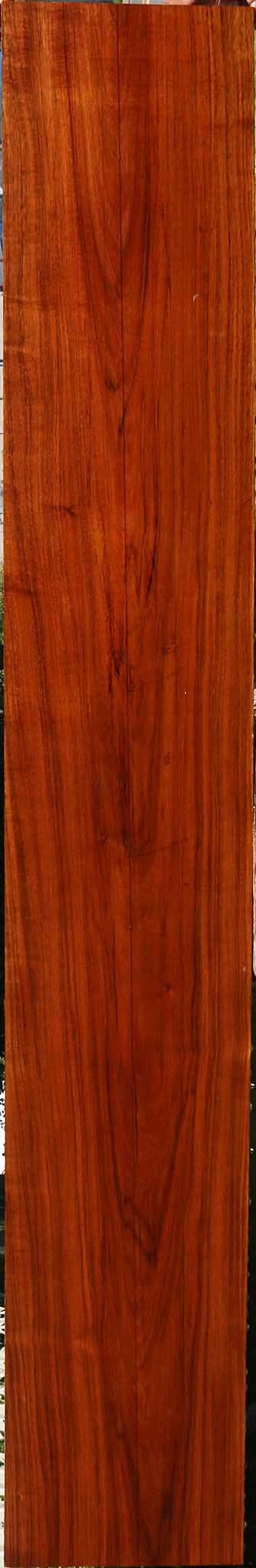 Tzalam Lumber