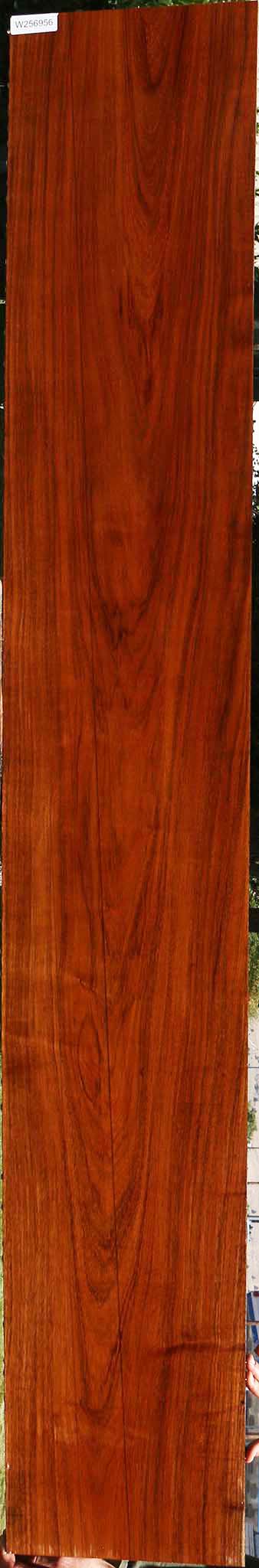 Tzalam Lumber