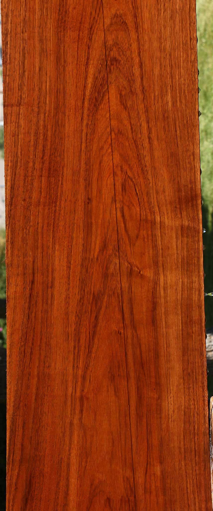 Tzalam Lumber