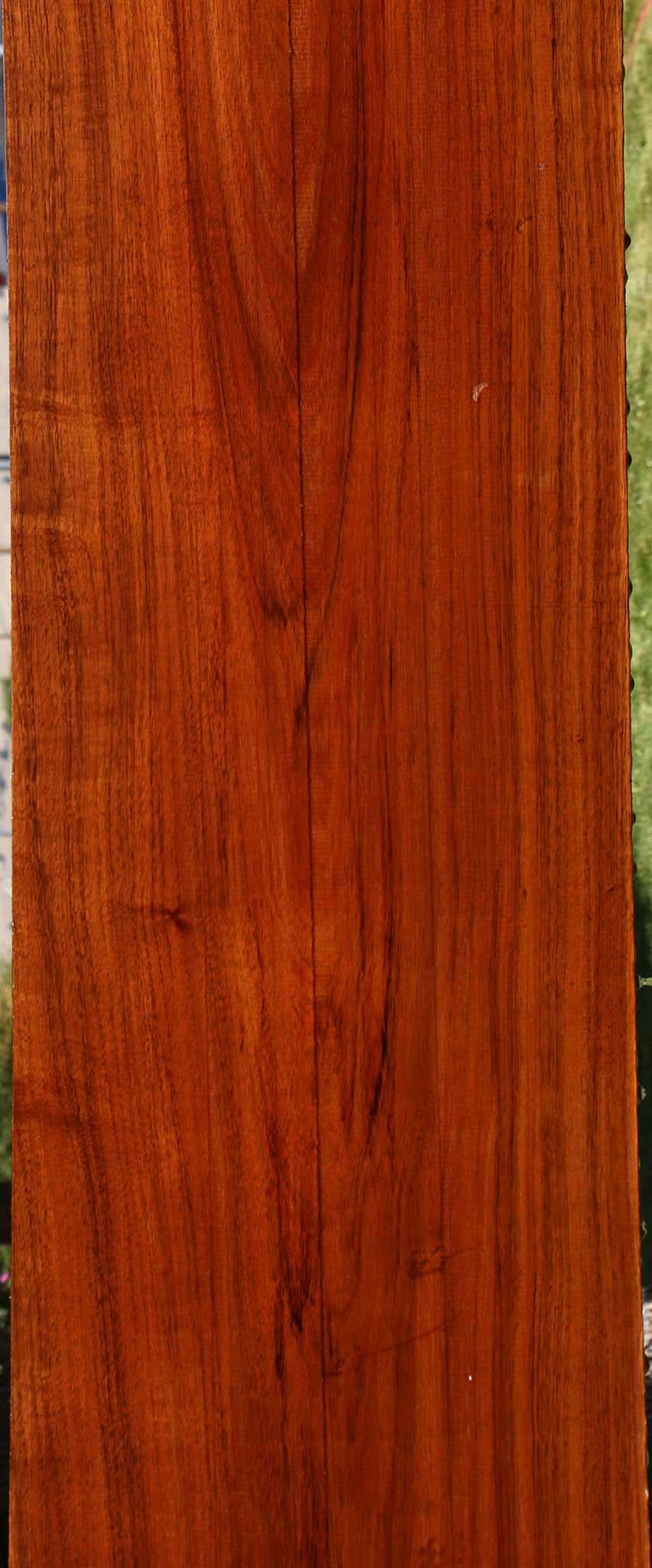 Tzalam Lumber