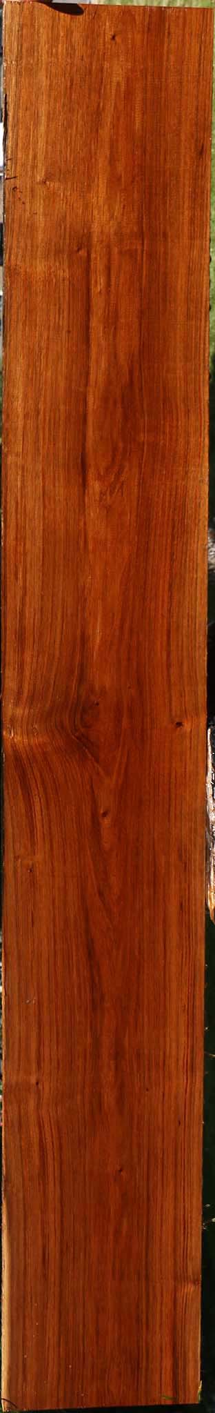 Tzalam Lumber