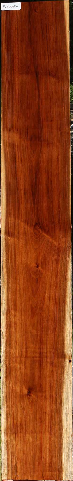 Tzalam Lumber