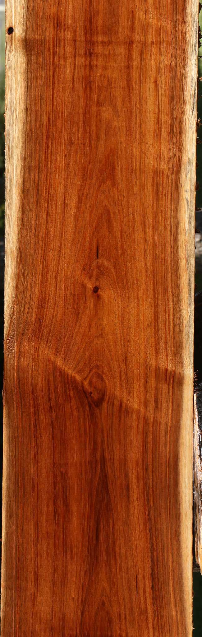 Tzalam Lumber