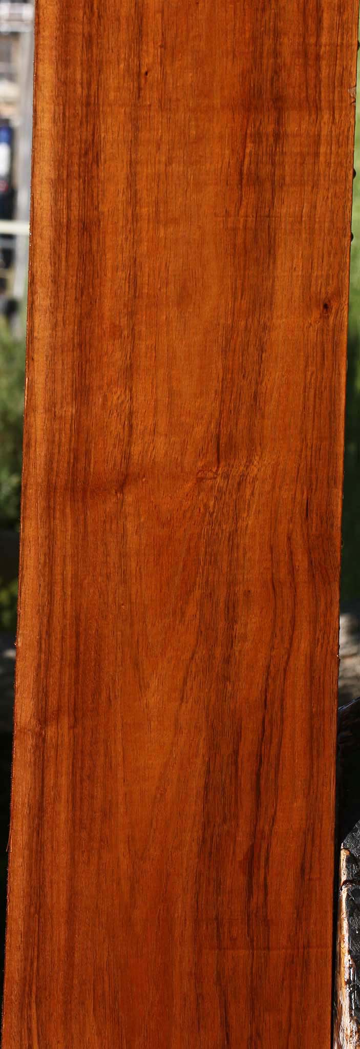 Figured Tzalam Lumber