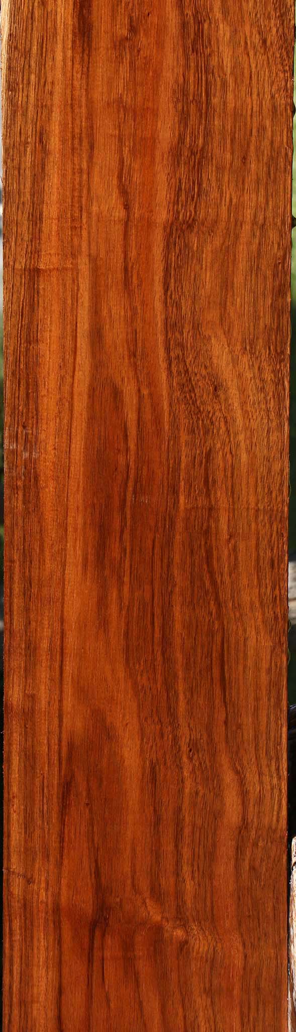 Figured Tzalam Lumber