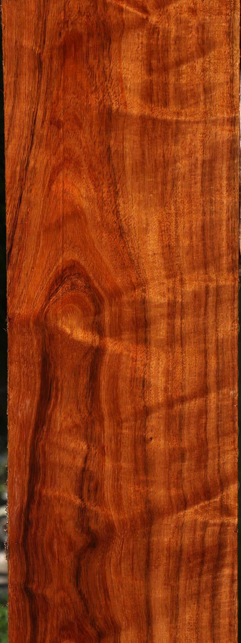 Extra Fancy Tzalam Lumber